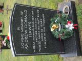 image of grave number 807347